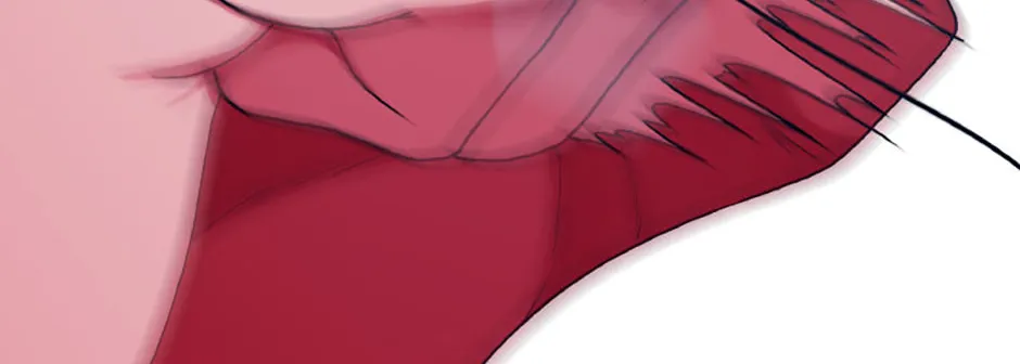 Hara of Thunder Chapter 72 page 196 - 