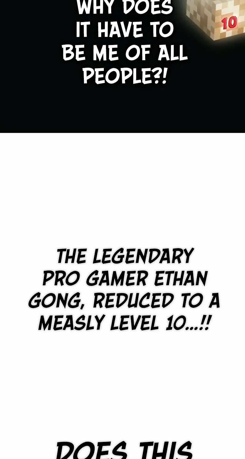Hardcore Leveling Warrior Chapter 1 page 10 - 