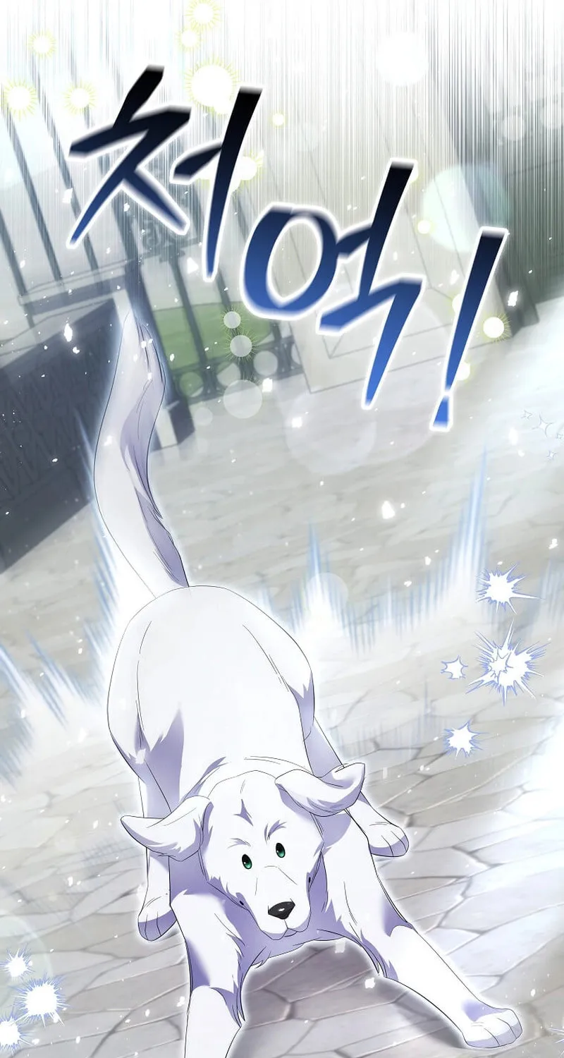 Harmless Obsession for the Captivating Male Lead Chapter 13 page 66 - 