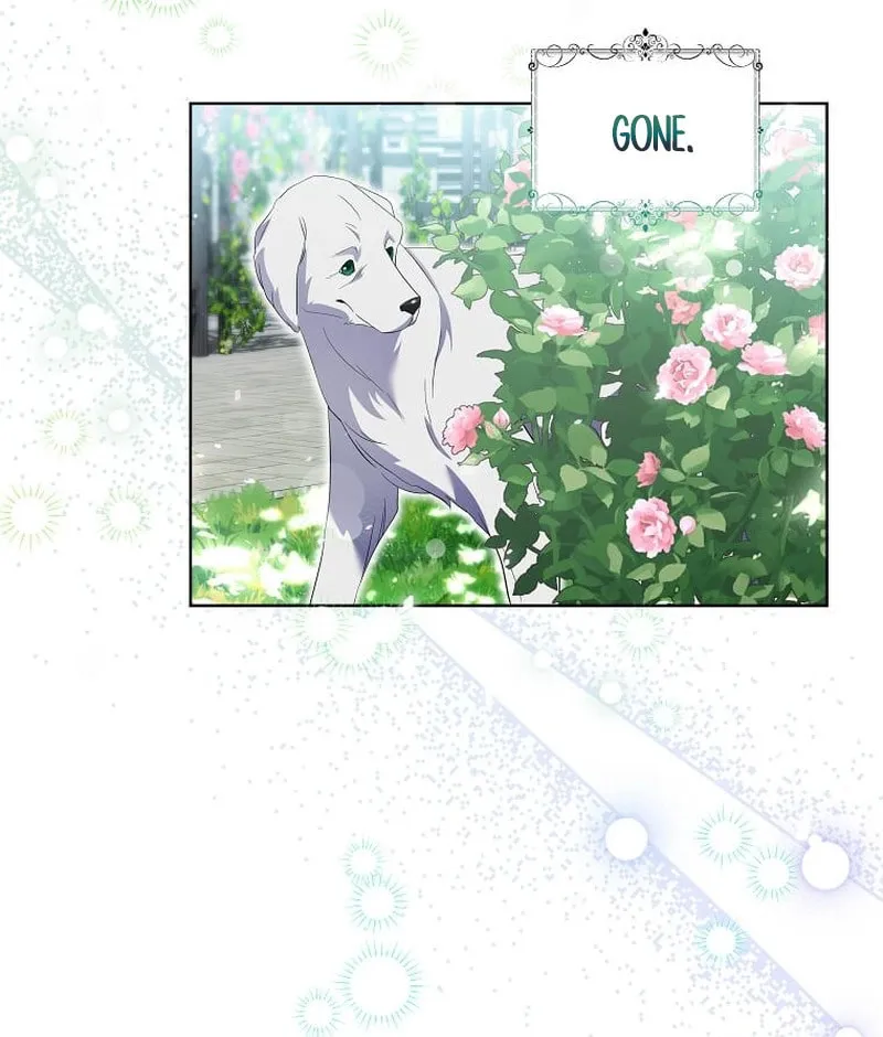Harmless Obsession for the Captivating Male Lead Chapter 13 page 72 - 