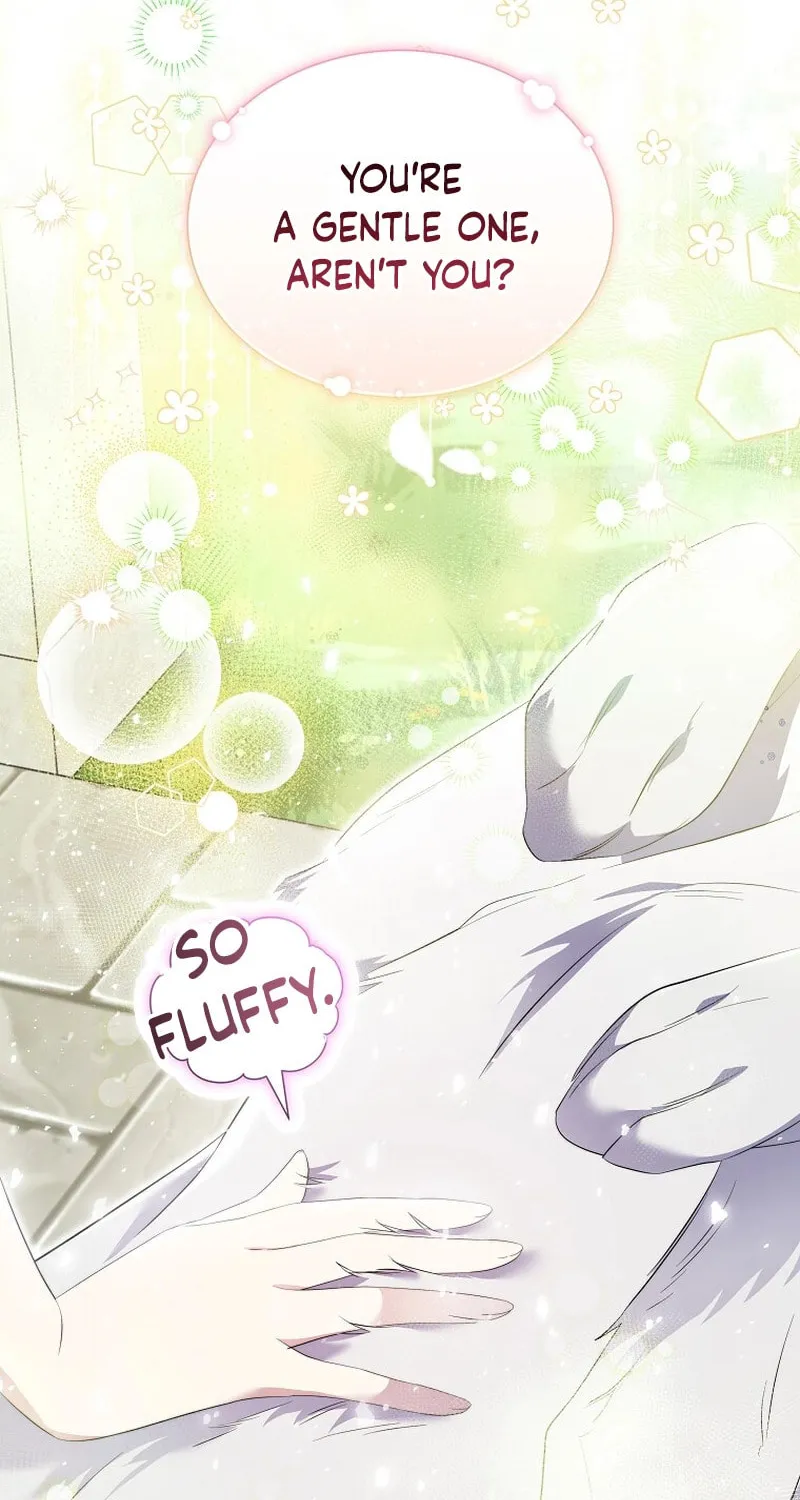 Harmless Obsession for the Captivating Male Lead Chapter 14 page 11 - 