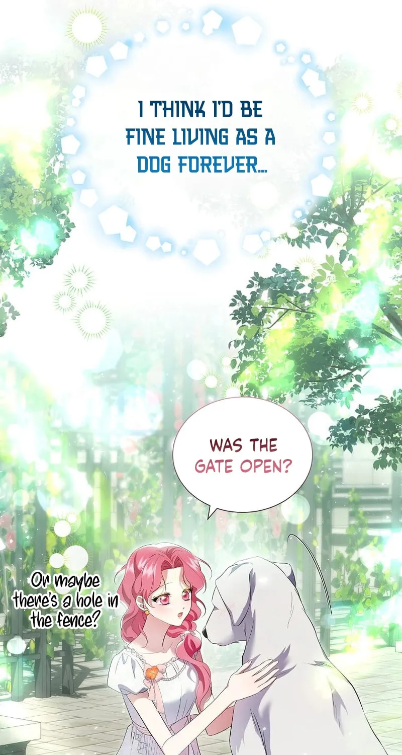 Harmless Obsession for the Captivating Male Lead Chapter 14 page 15 - 