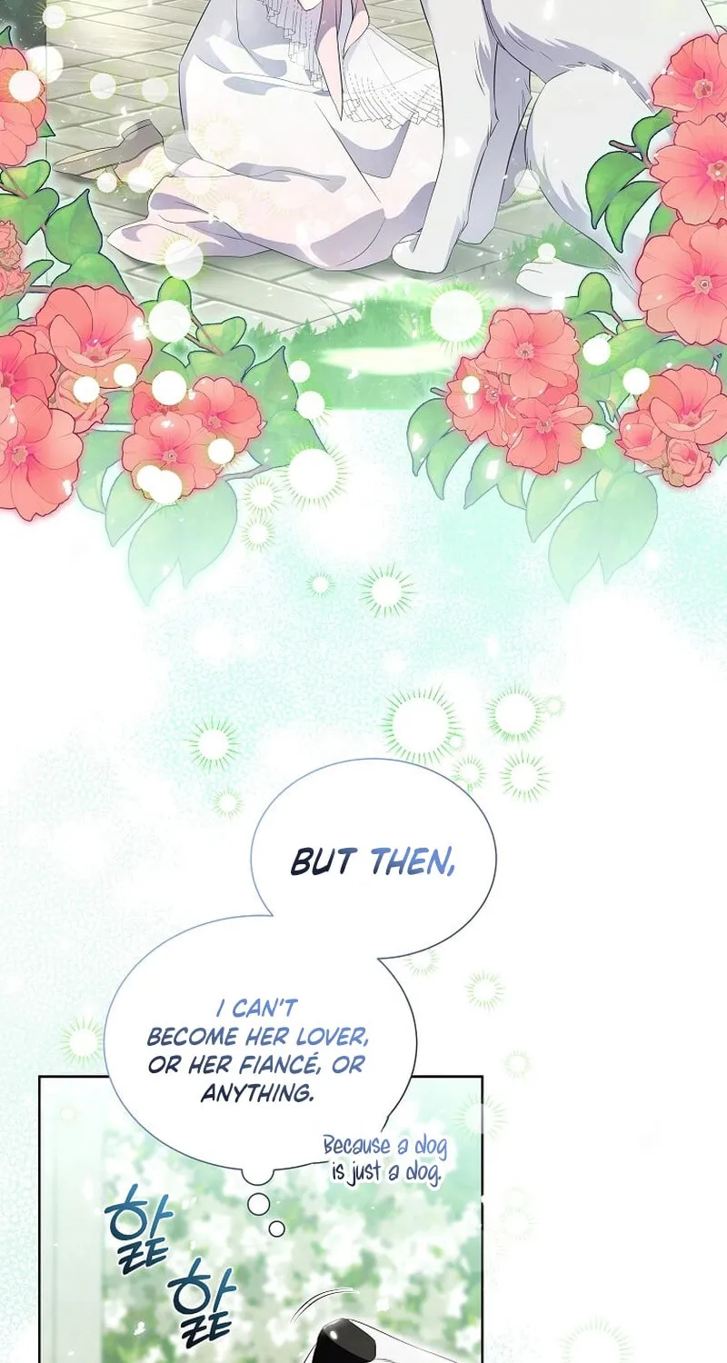 Harmless Obsession for the Captivating Male Lead Chapter 14 page 16 - 