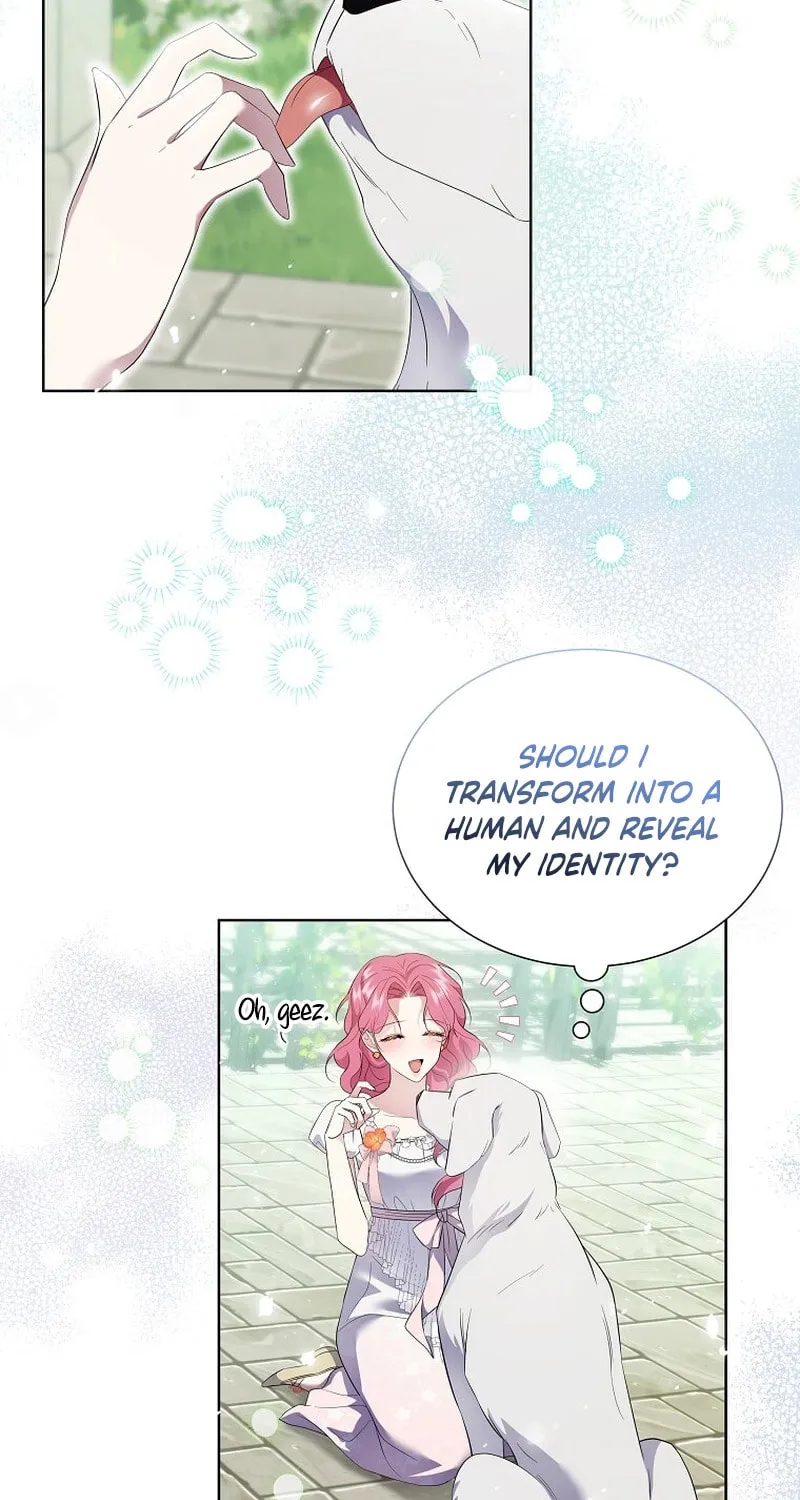 Harmless Obsession for the Captivating Male Lead Chapter 14 page 17 - 