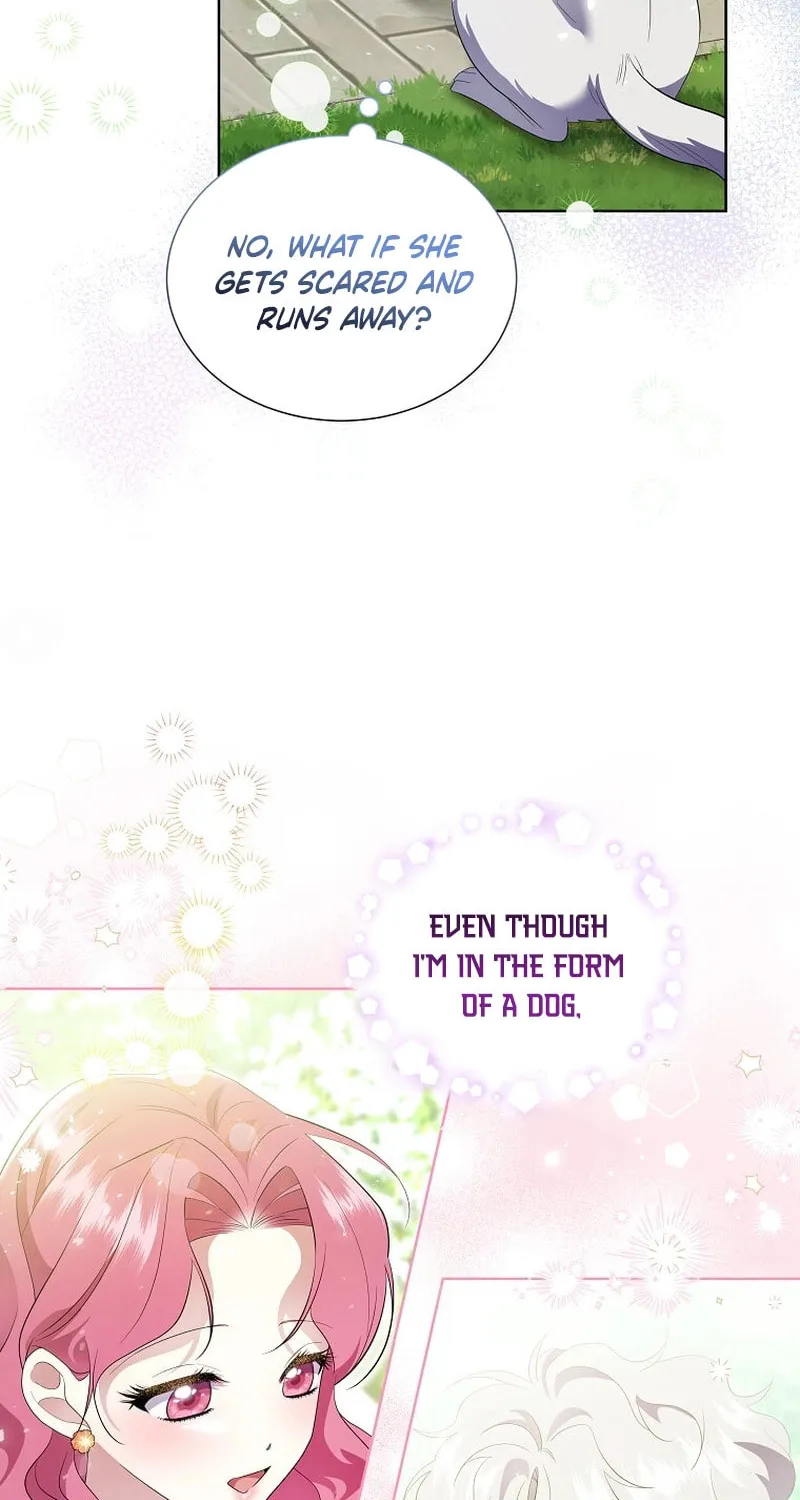 Harmless Obsession for the Captivating Male Lead Chapter 14 page 18 - 