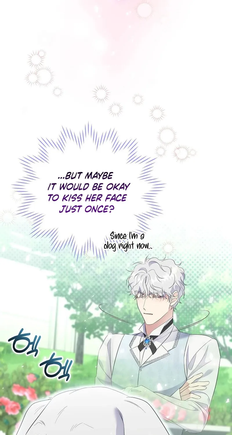 Harmless Obsession for the Captivating Male Lead Chapter 14 page 20 - 