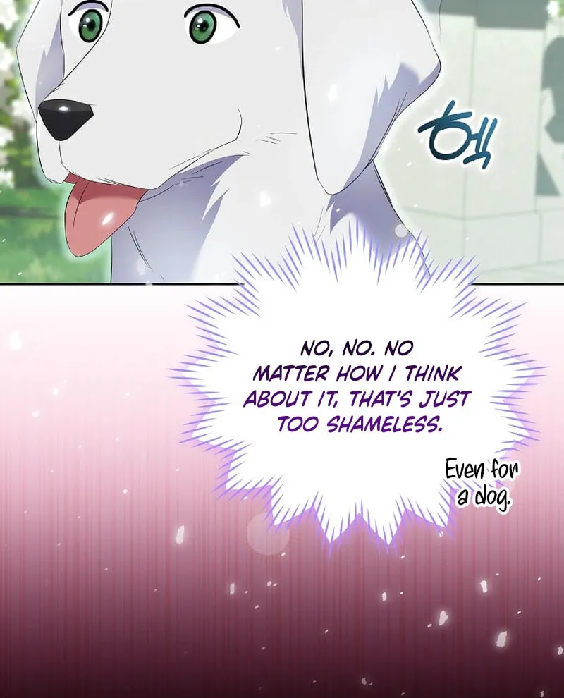 Harmless Obsession for the Captivating Male Lead Chapter 14 page 21 - 