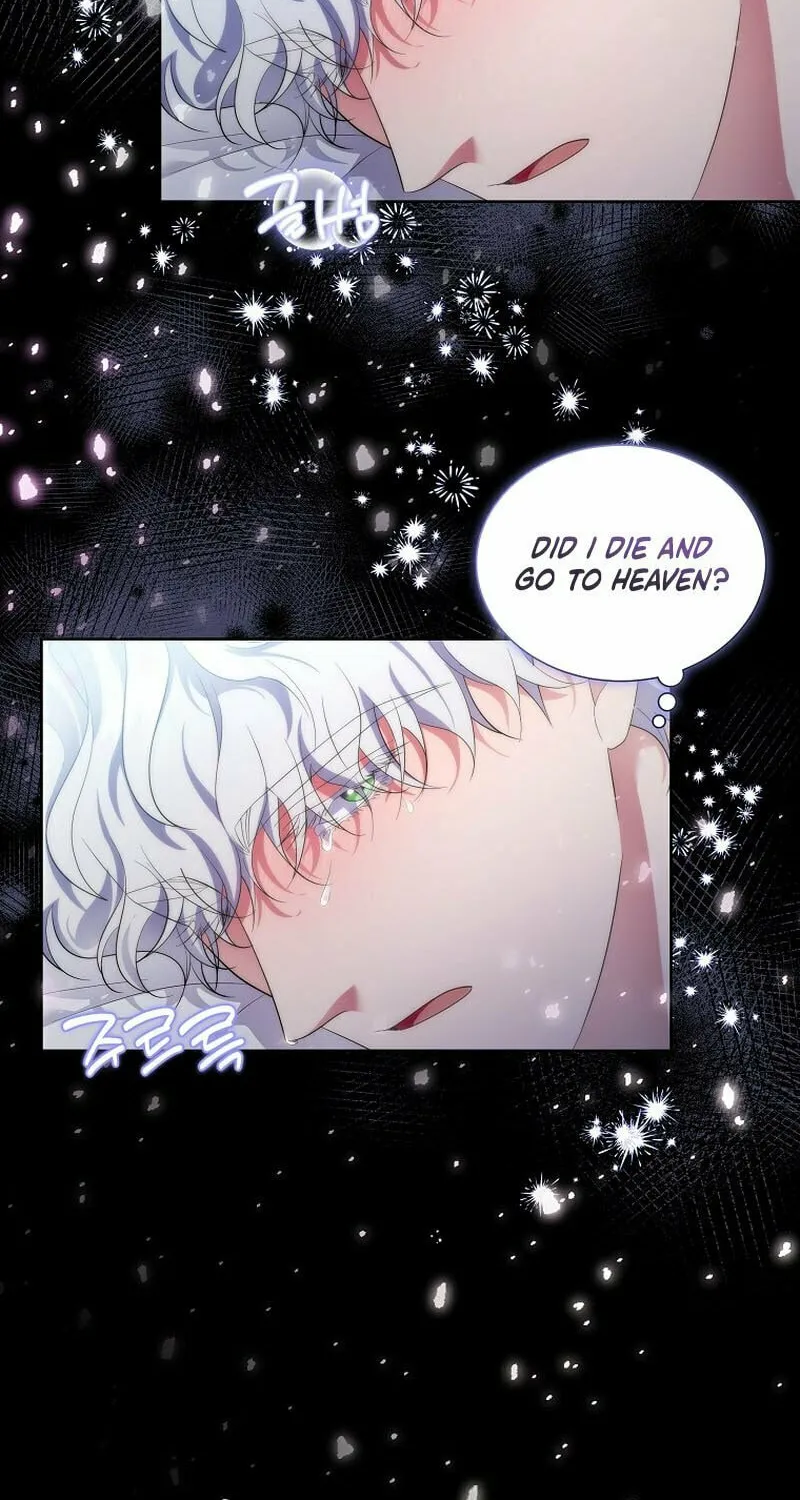 Harmless Obsession for the Captivating Male Lead Chapter 17 page 64 - 
