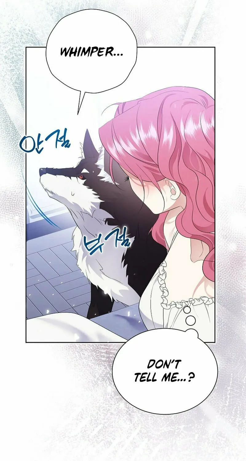 Harmless Obsession for the Captivating Male Lead Chapter 20 page 35 - 