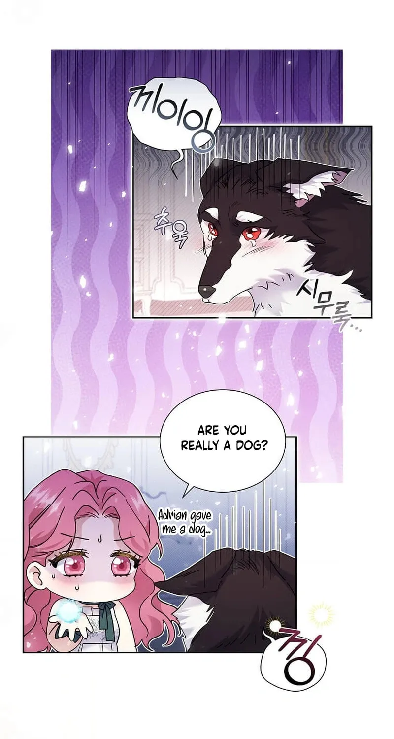 Harmless Obsession for the Captivating Male Lead Chapter 3 page 64 - 