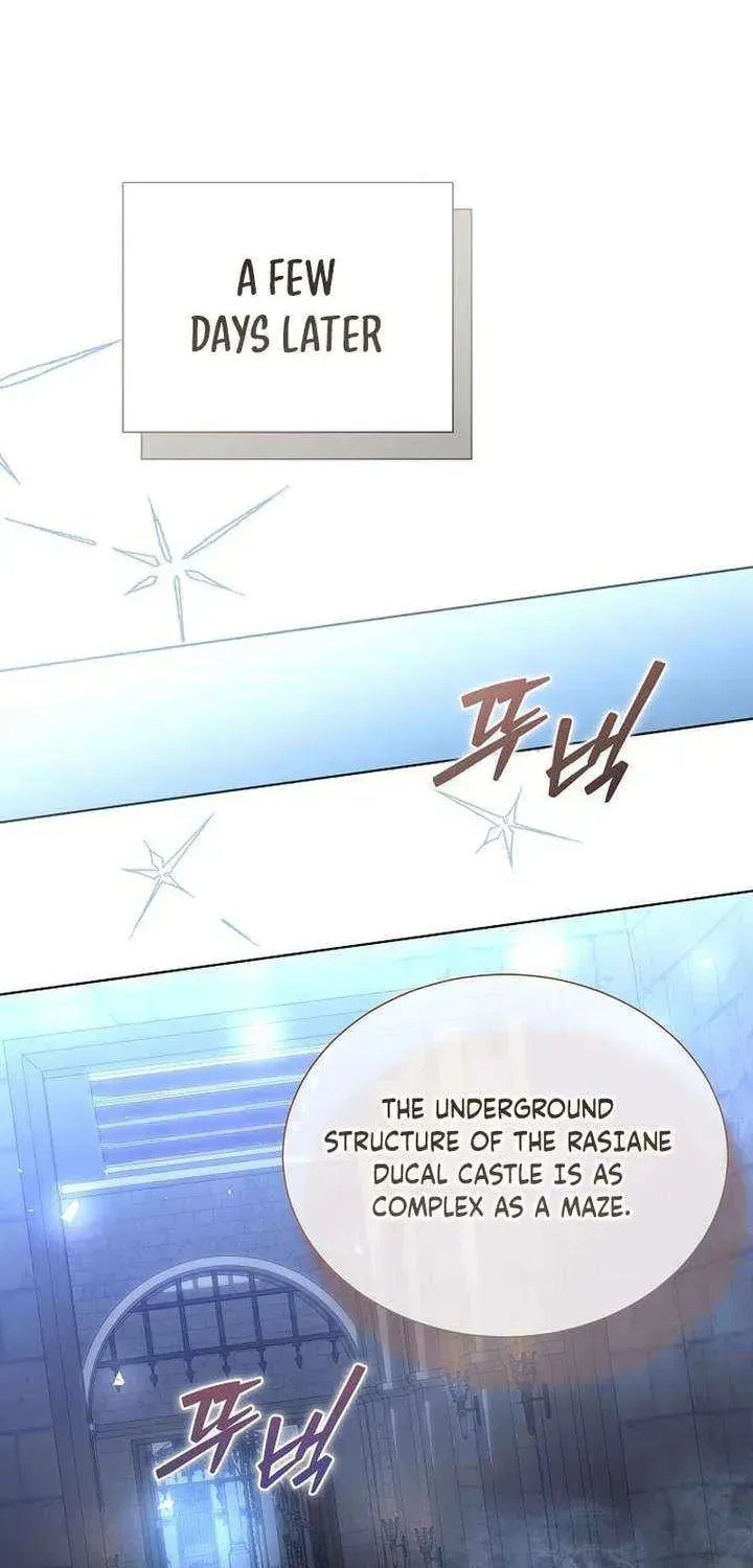 Harmless Obsession for the Captivating Male Lead Chapter 39 page 2 - 