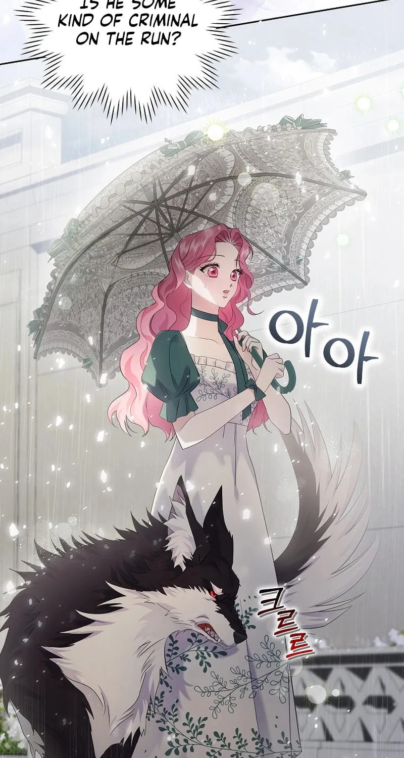 Harmless Obsession for the Captivating Male Lead Chapter 4 page 4 - 
