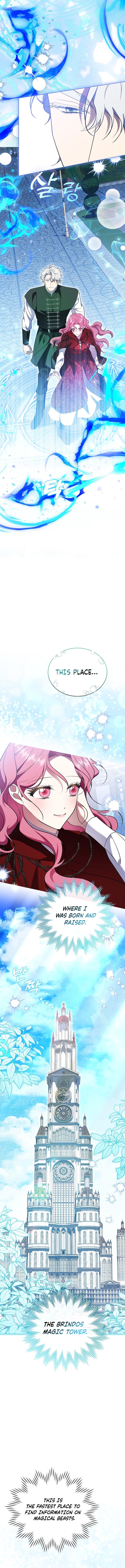Harmless Obsession for the Captivating Male Lead Chapter 49 page 9 - 