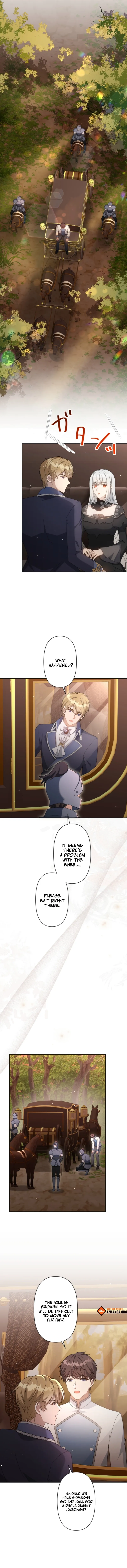 Hasn