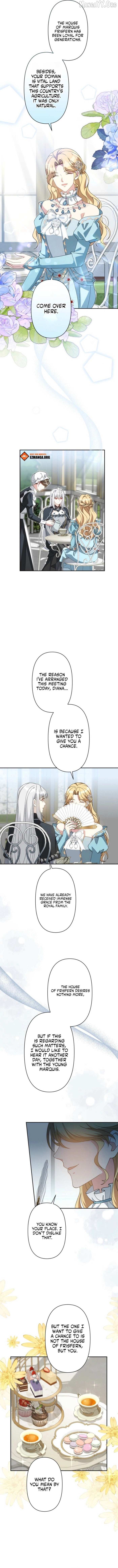 Hasn