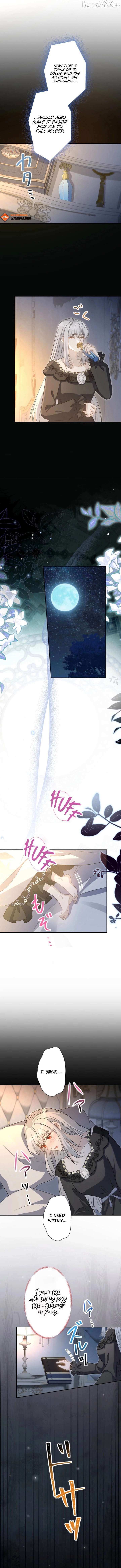Hasn