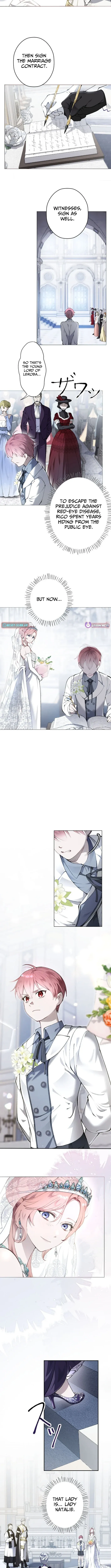 hat Was Meant to Be a Contract Marriage Turned Into the Duke’s Obsession Chapter 8 page 5 - 
