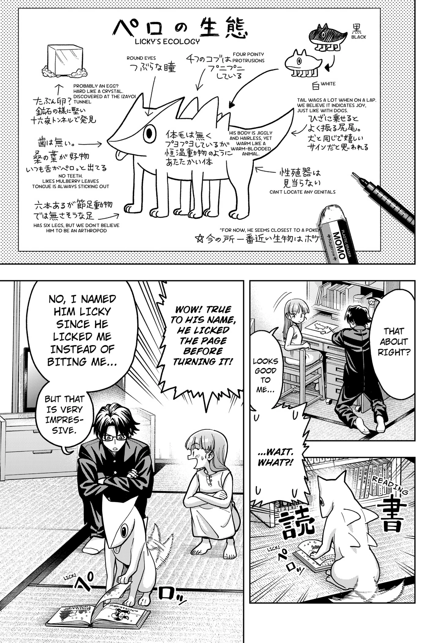 Hatori and Furuta