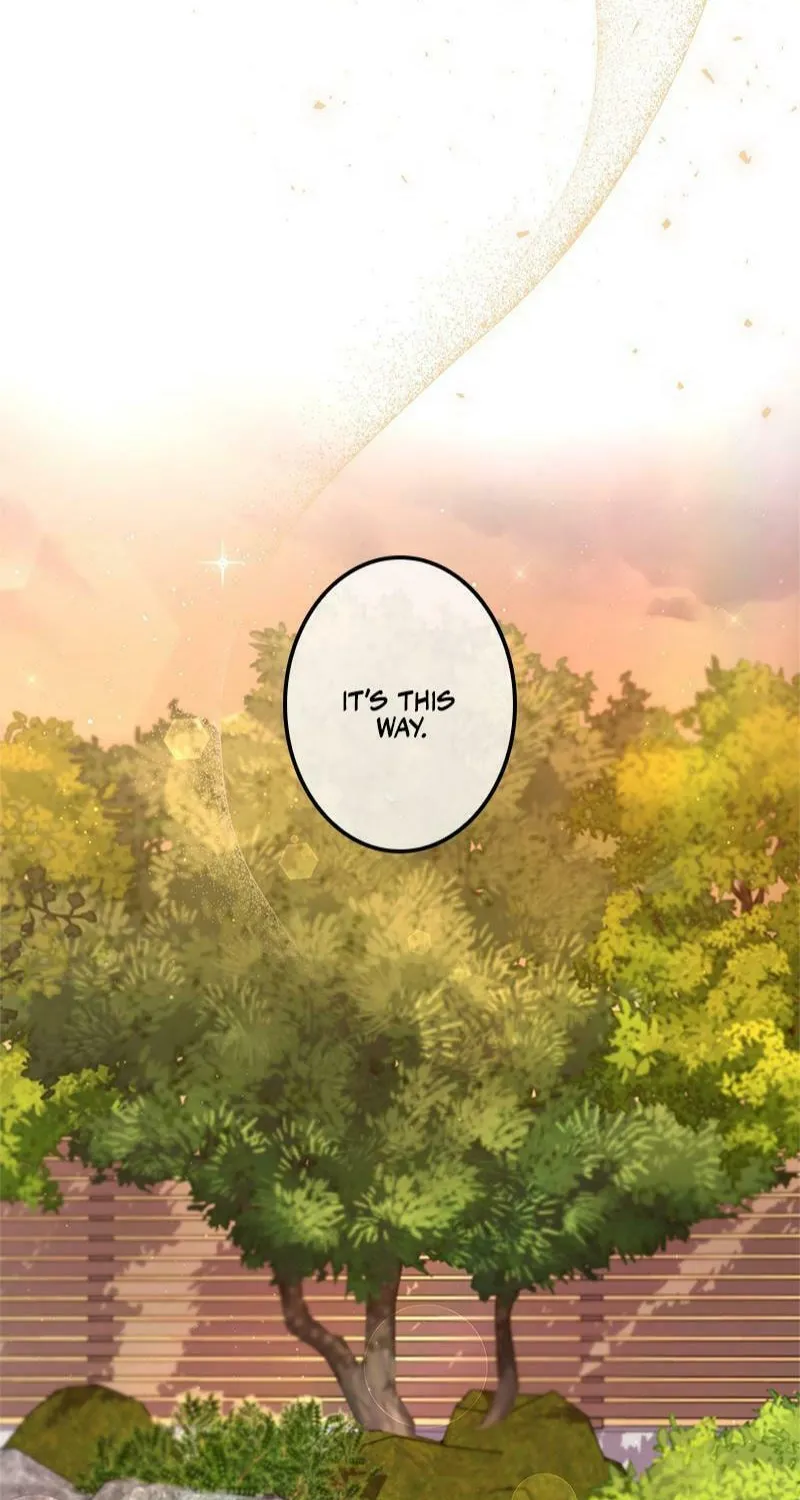 Have an Affair, With Me Chapter 2 page 136 - 