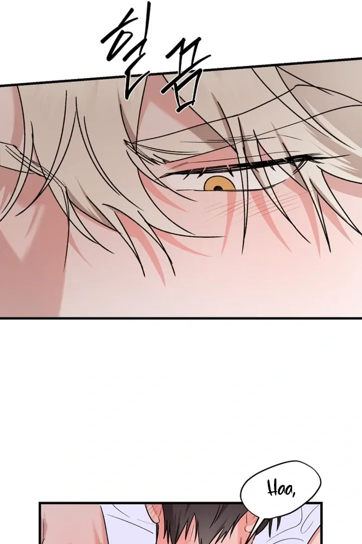He Is the Tiger Chapter 21 page 61 - 