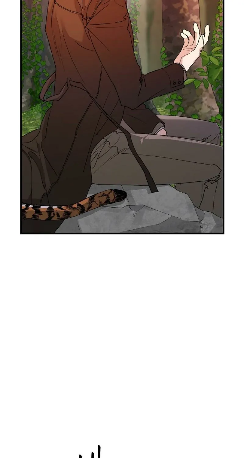 He Is the Tiger Chapter 24 page 35 - 