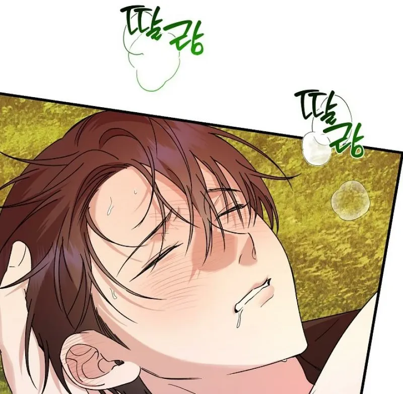 He Is the Tiger Chapter 24 page 78 - 
