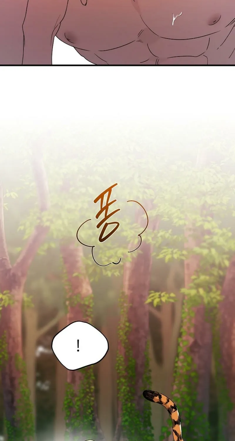He Is the Tiger Chapter 24 page 87 - 