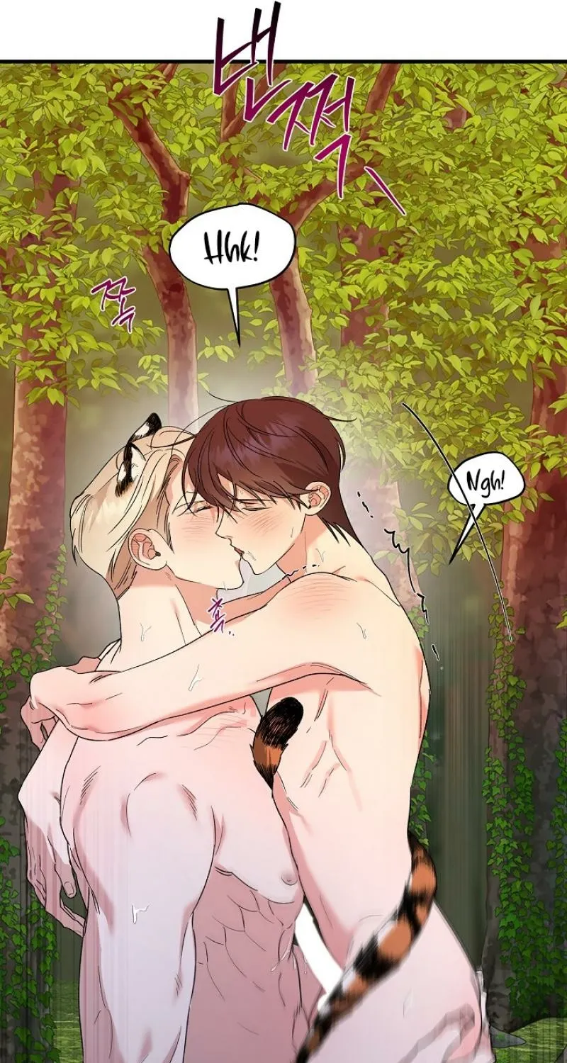He Is the Tiger Chapter 24 page 97 - 