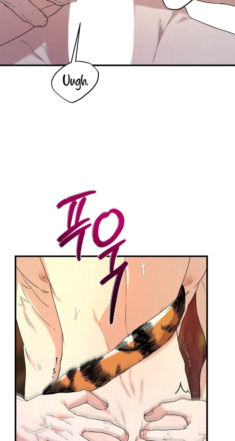 He Is the Tiger Chapter 24 page 99 - 