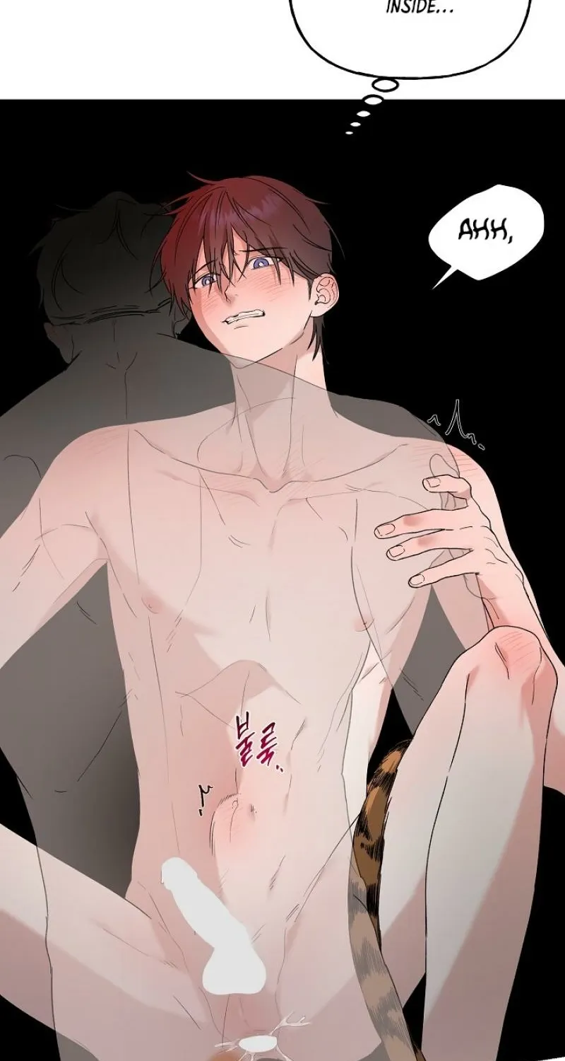 He Is the Tiger Chapter 25 page 12 - 