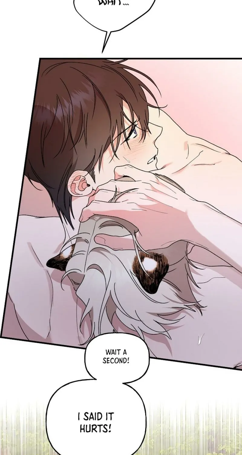 He Is the Tiger Chapter 25 page 3 - 