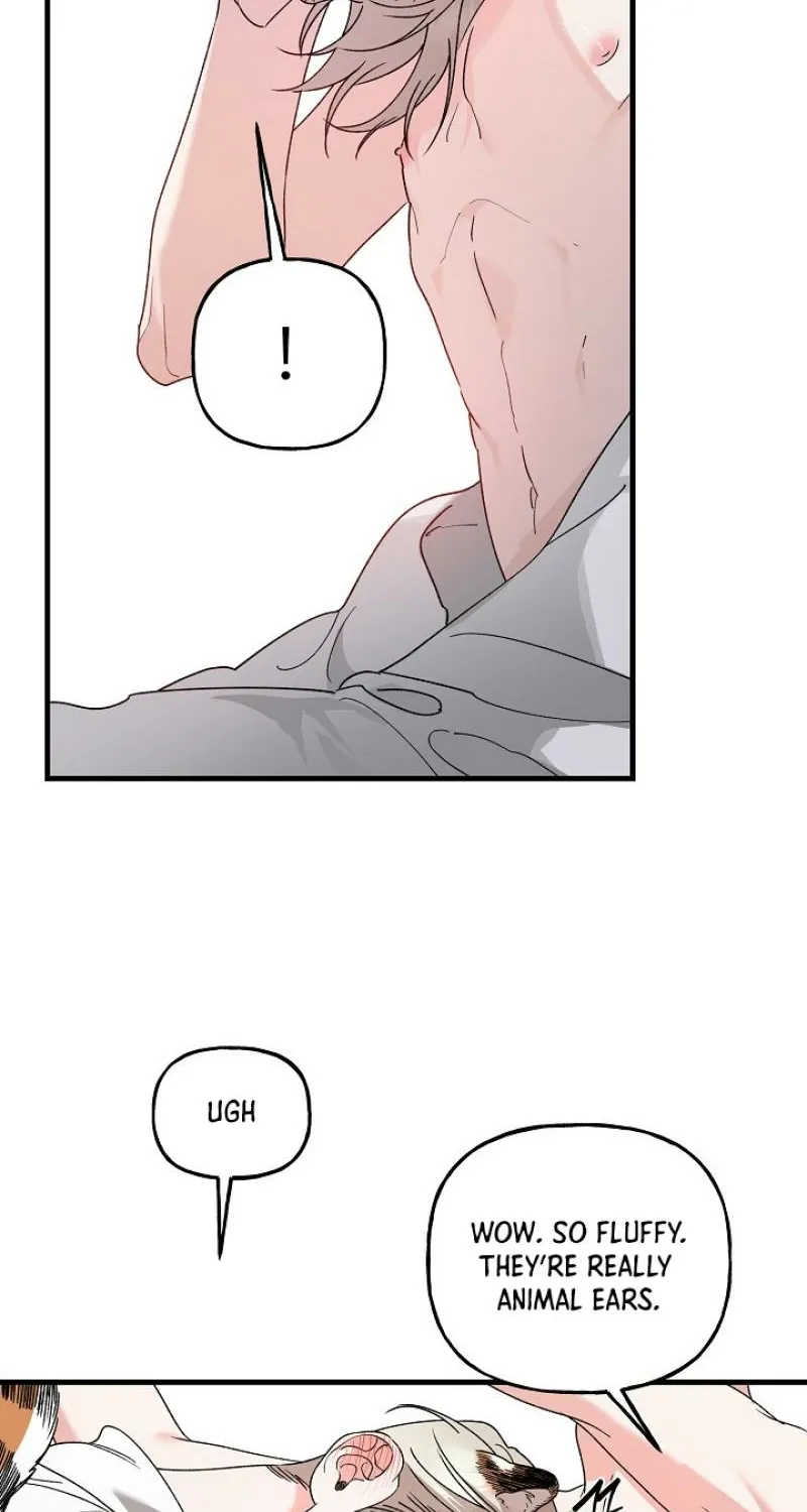 He Is the Tiger Chapter 25 page 60 - 