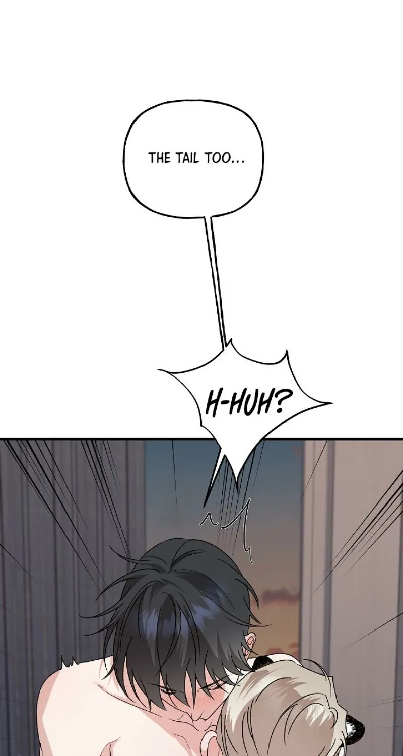 He Is the Tiger Chapter 25 page 62 - 