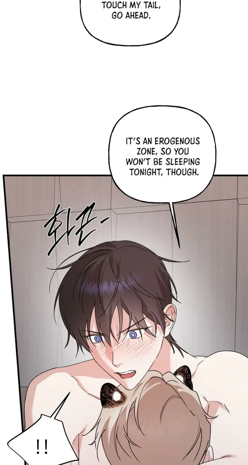 He Is the Tiger Chapter 25 page 66 - 