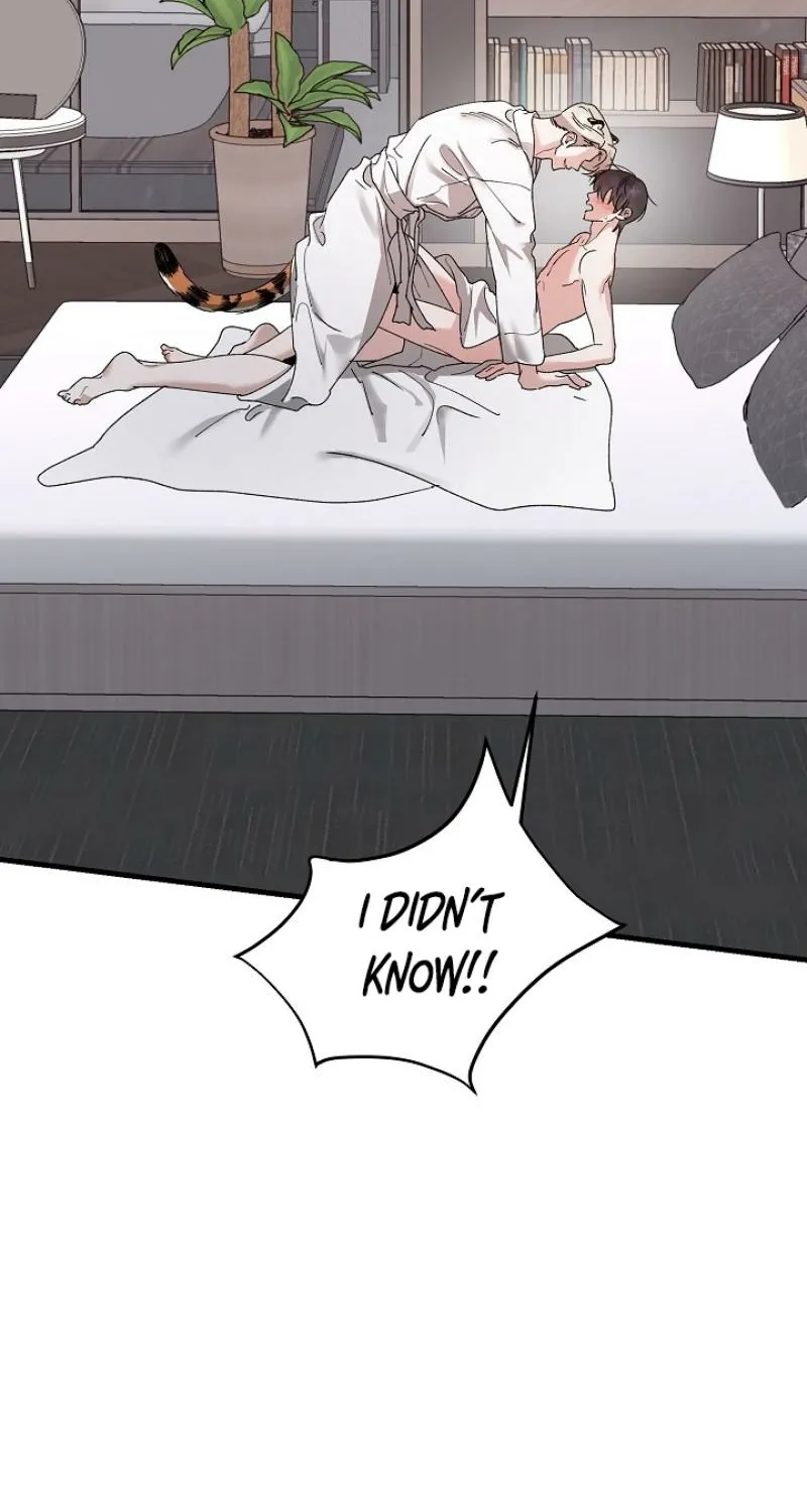 He Is the Tiger Chapter 25 page 71 - 