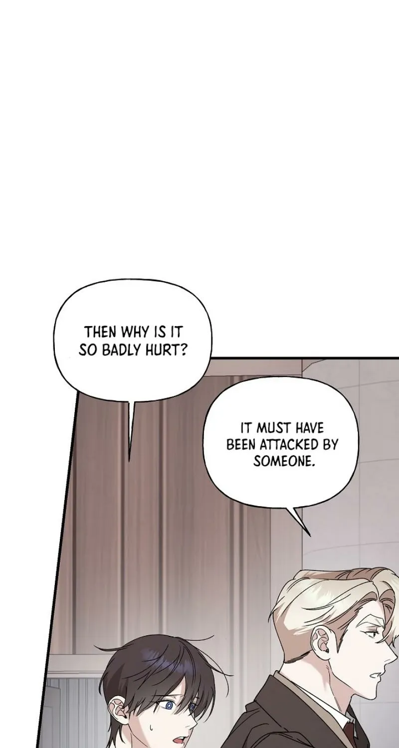 He Is the Tiger Chapter 27 page 8 - 