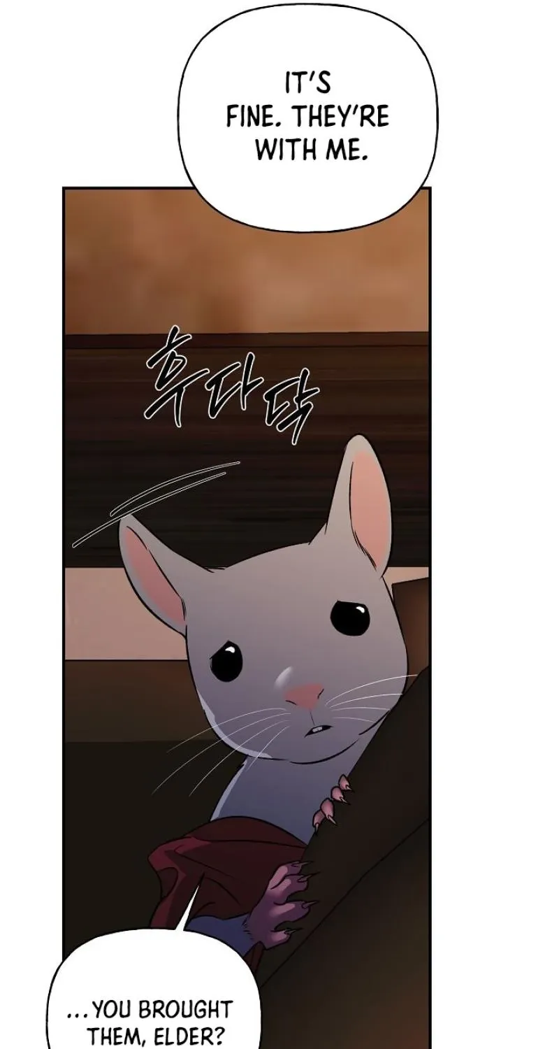 He Is the Tiger Chapter 29 page 13 - 