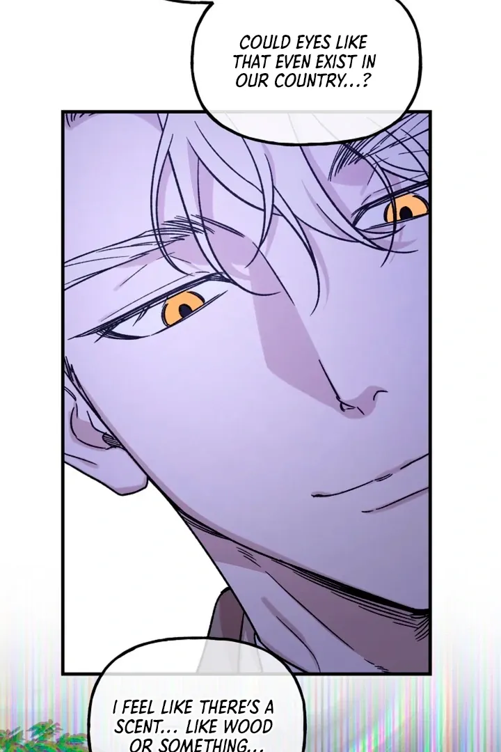 He Is the Tiger Chapter 3 page 5 - 
