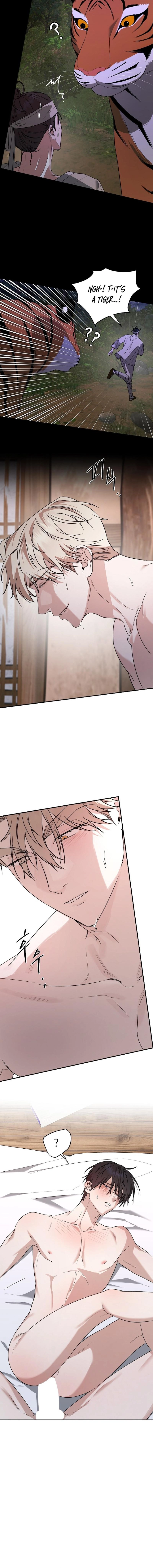 He Is the Tiger Chapter 31 page 12 - 