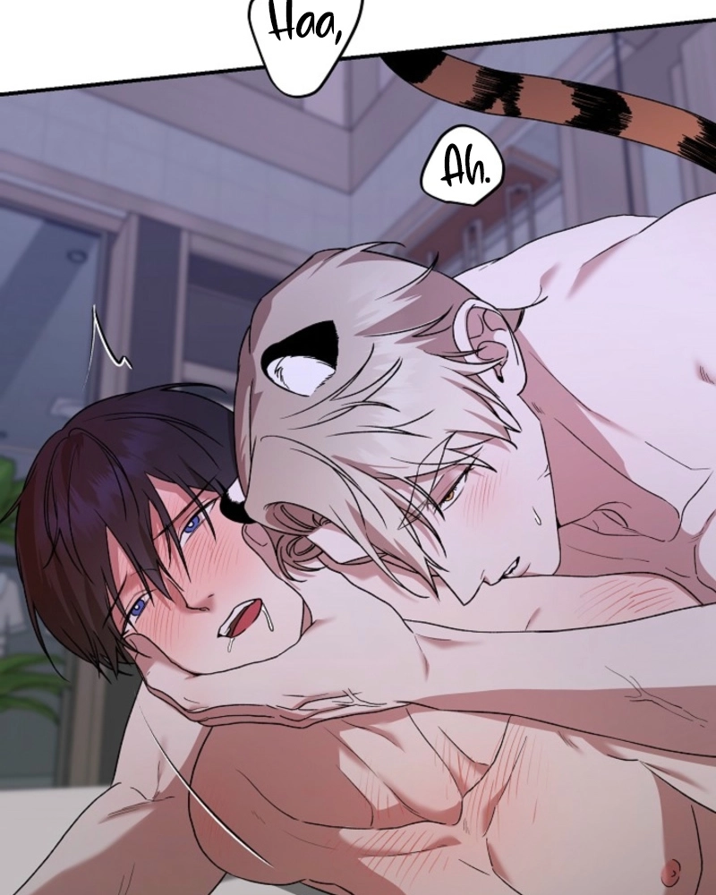 He Is the Tiger Chapter 35 page 41 - 