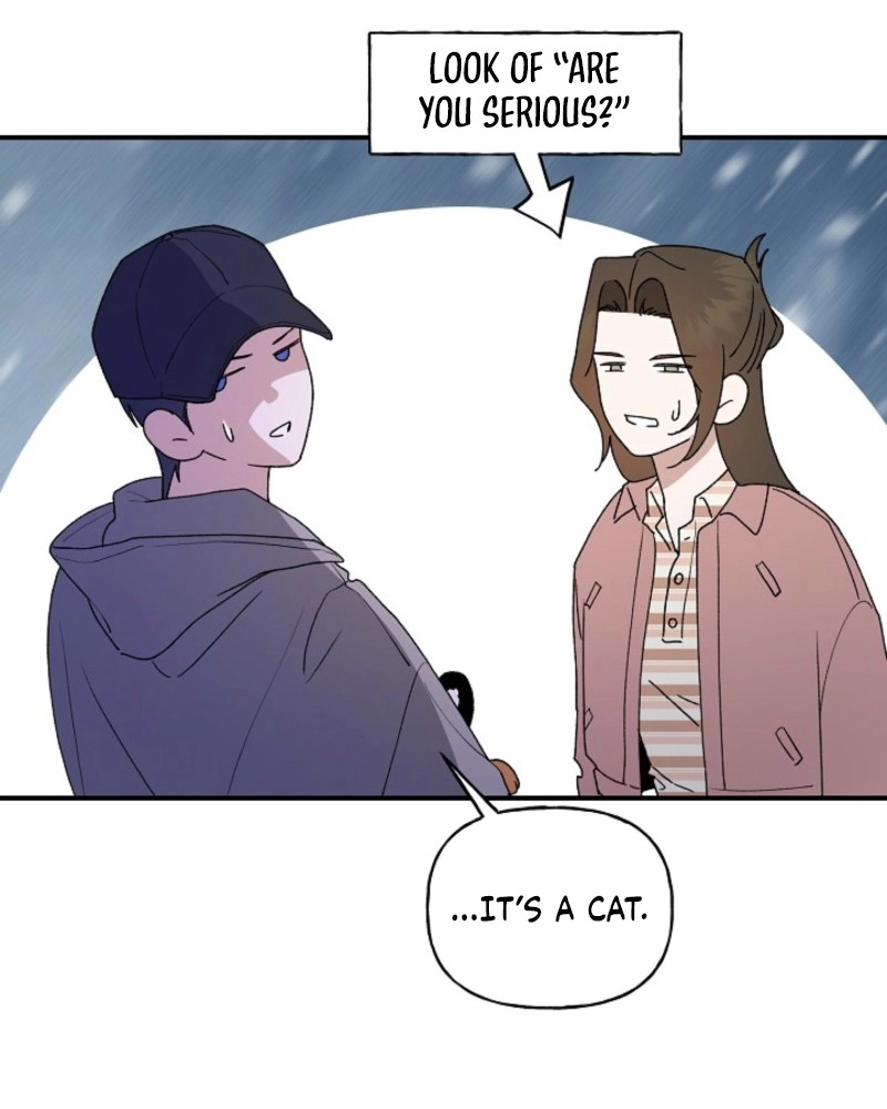 He Is the Tiger Chapter 37 page 14 - 