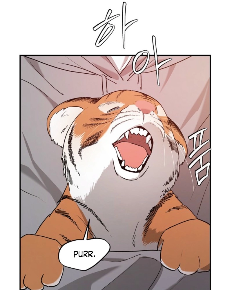 He Is the Tiger Chapter 37 page 15 - 