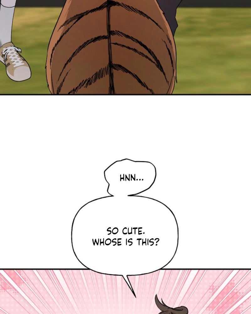 He Is the Tiger Chapter 37 page 5 - 