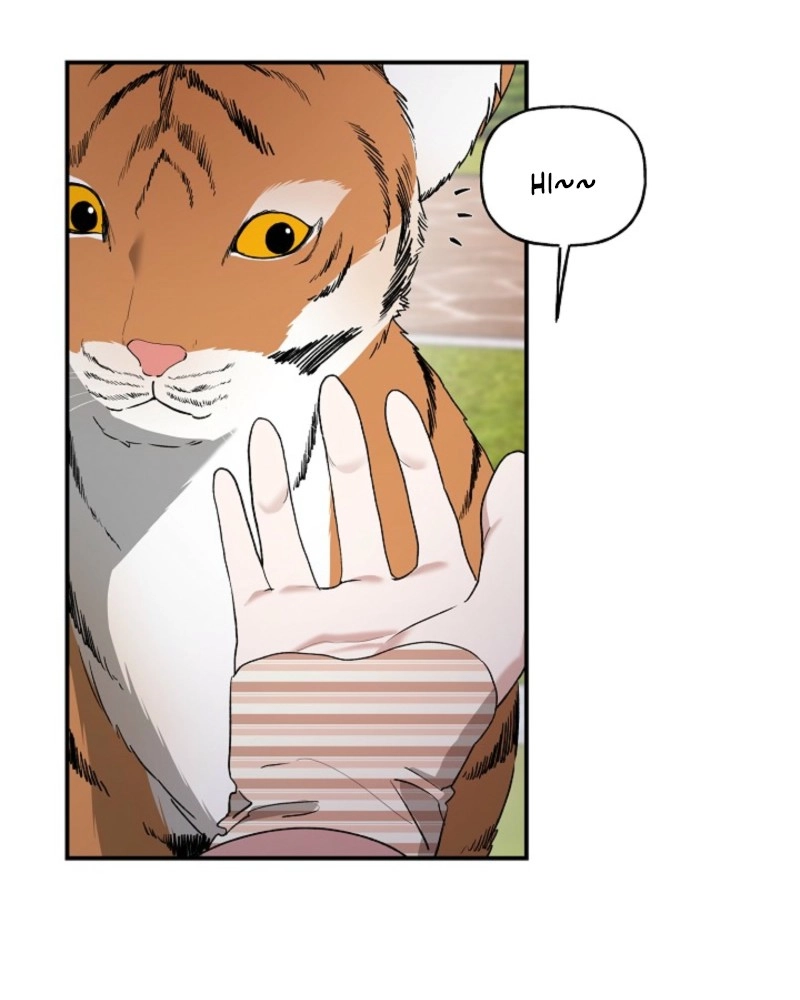 He Is the Tiger Chapter 37 page 7 - 