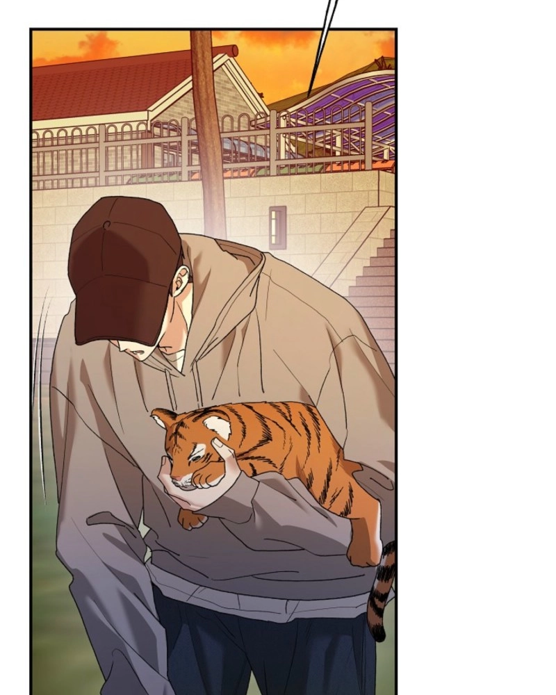 He Is the Tiger Chapter 37 page 71 - 