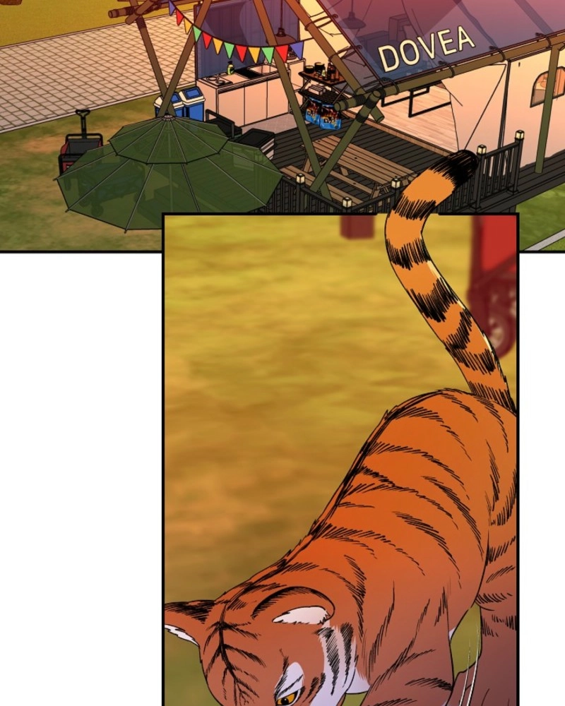 He Is the Tiger Chapter 37 page 81 - 