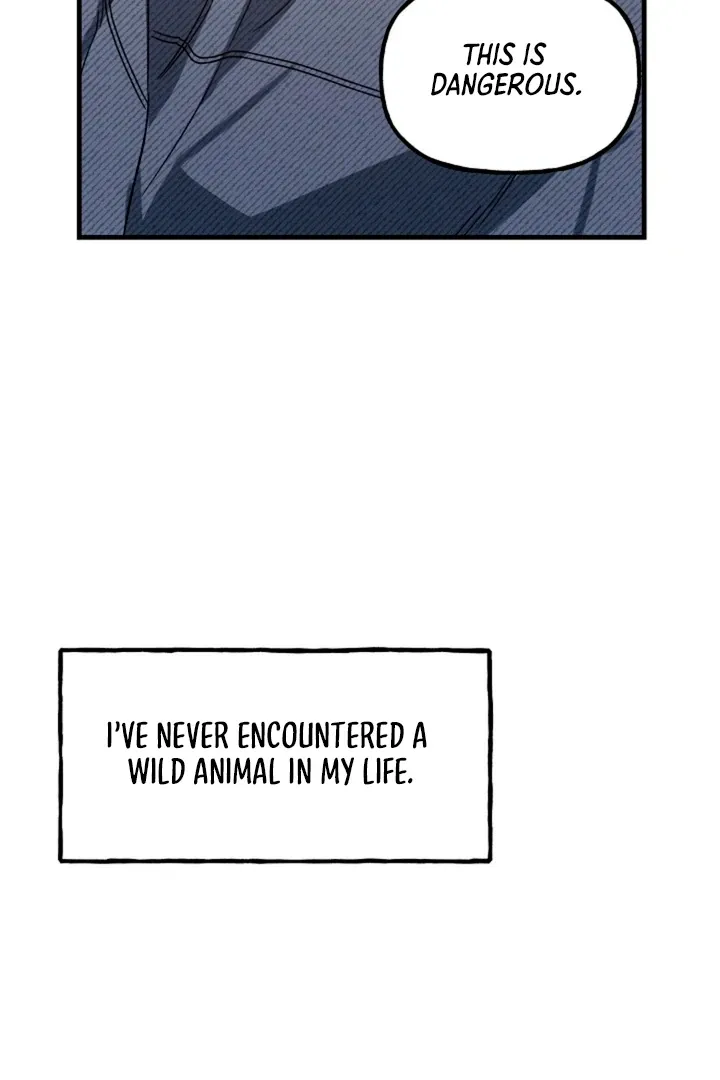 He Is the Tiger Chapter 5 page 45 - 