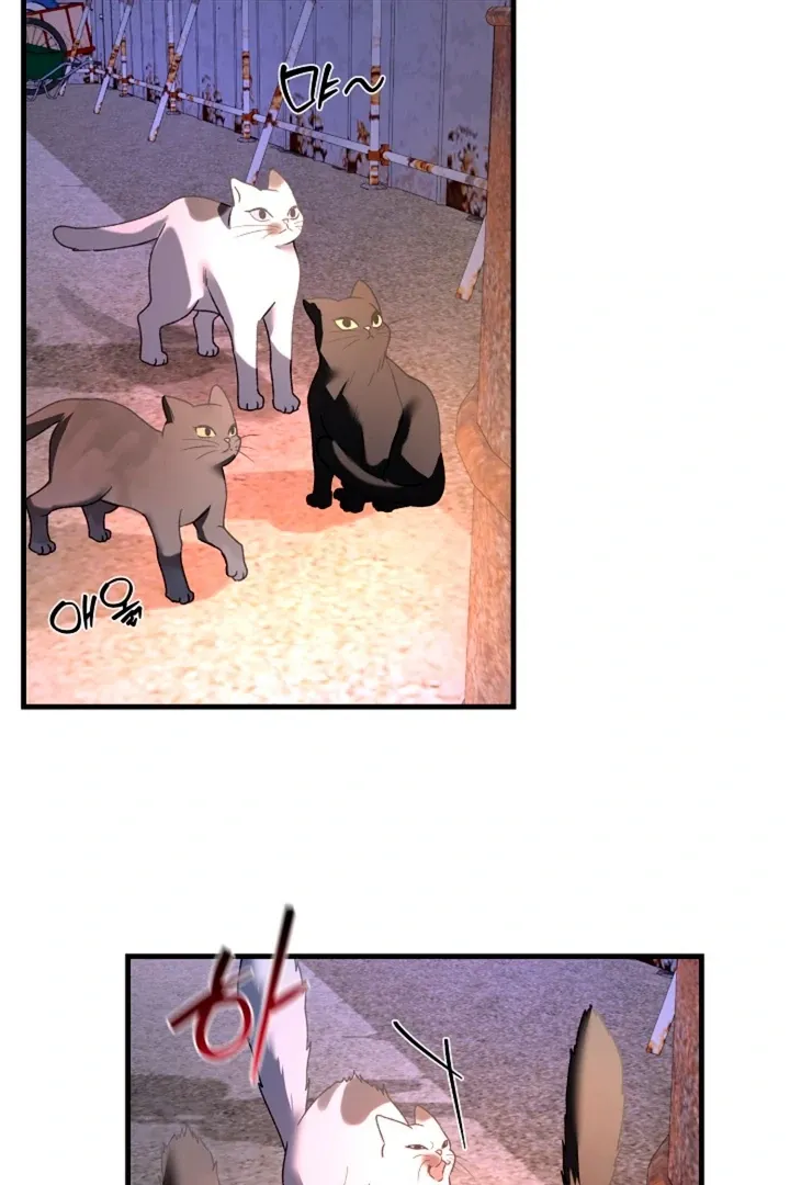 He Is the Tiger Chapter 6 page 89 - 
