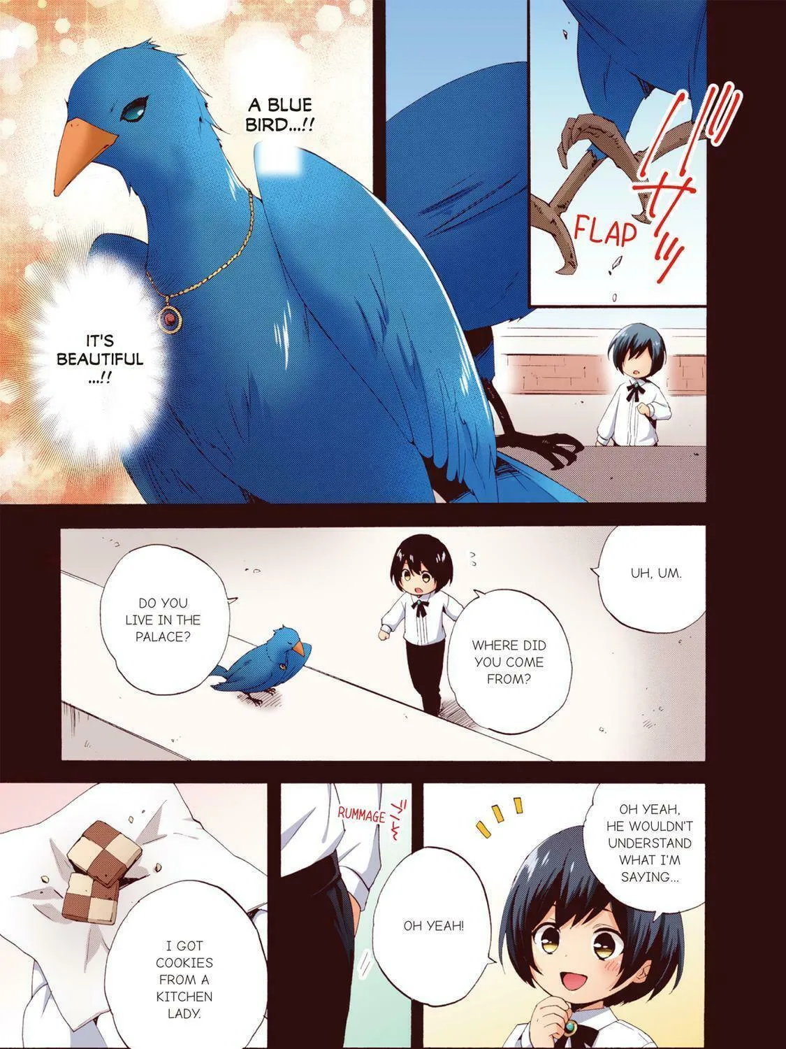 Head Start at Birth Chapter 6 page 29 - 
