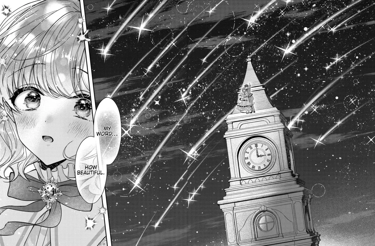 Healer for the Shadow Hero Chapter 11 page 11 - 